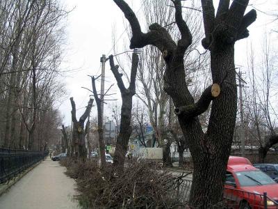 Прикрепленное изображение: 10949763_810181619058461_6561315452204445760_n.jpg